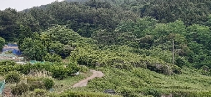통영지원 2019타경22991-1 사진