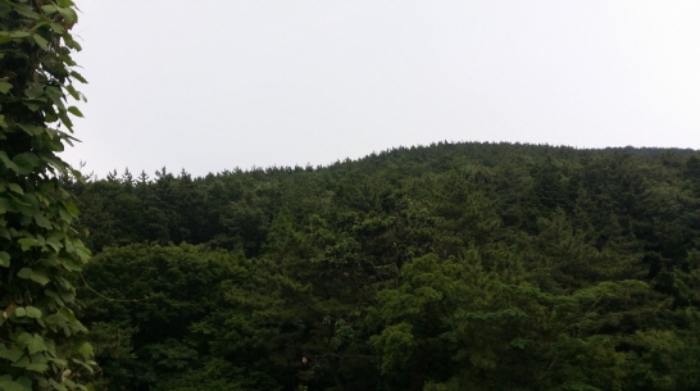 통영지원 2019타경23598-1 사진