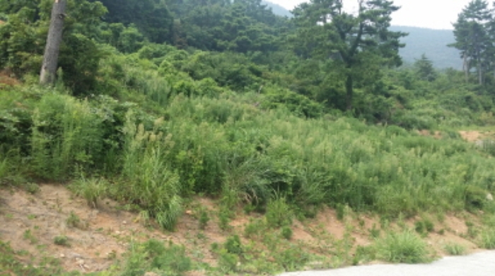 통영지원 2019타경25174-2 사진