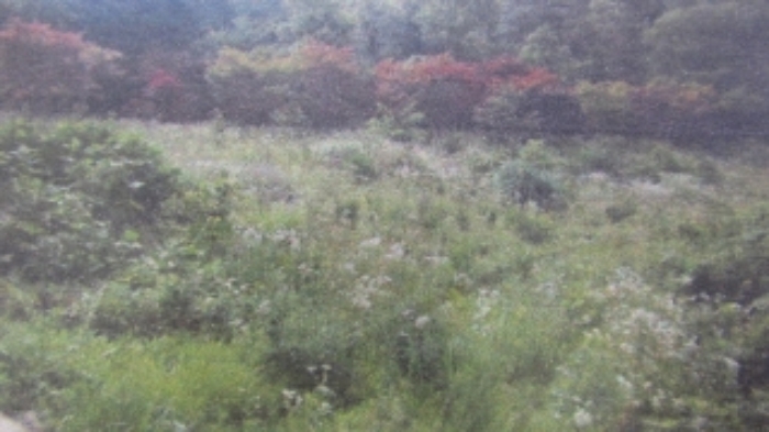밀양지원 2016타경2357-2 사진