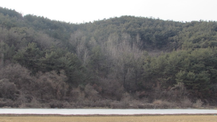 밀양지원 2016타경3879-1 사진