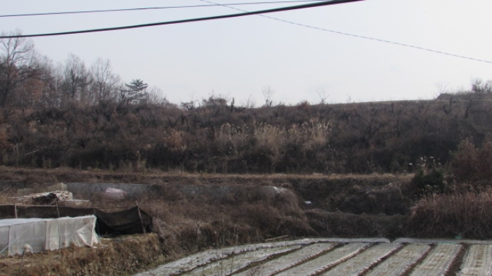 밀양지원 2016타경4155-2 사진