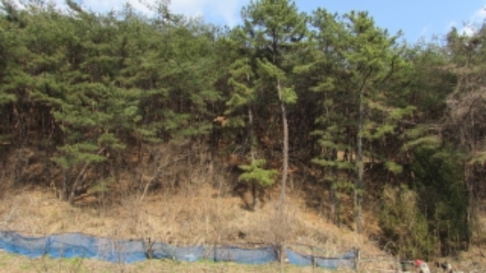 밀양지원 2017타경181-1 사진
