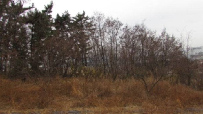 밀양지원 2019타경12218-1 사진