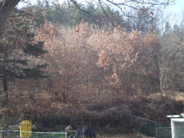 밀양지원 2021타경12174-2 사진