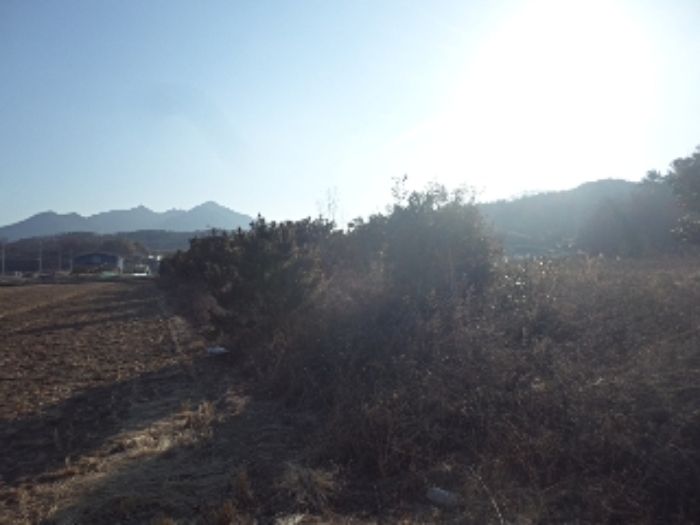 밀양지원 2022타경208-1 사진