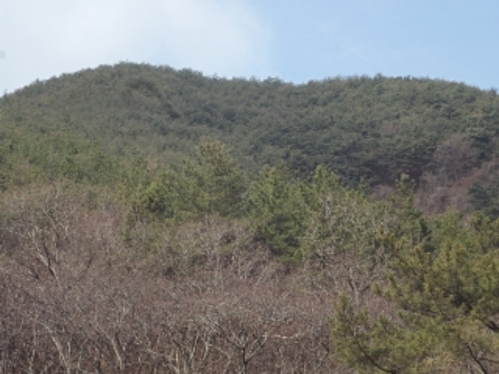 밀양지원 2022타경529-1 사진