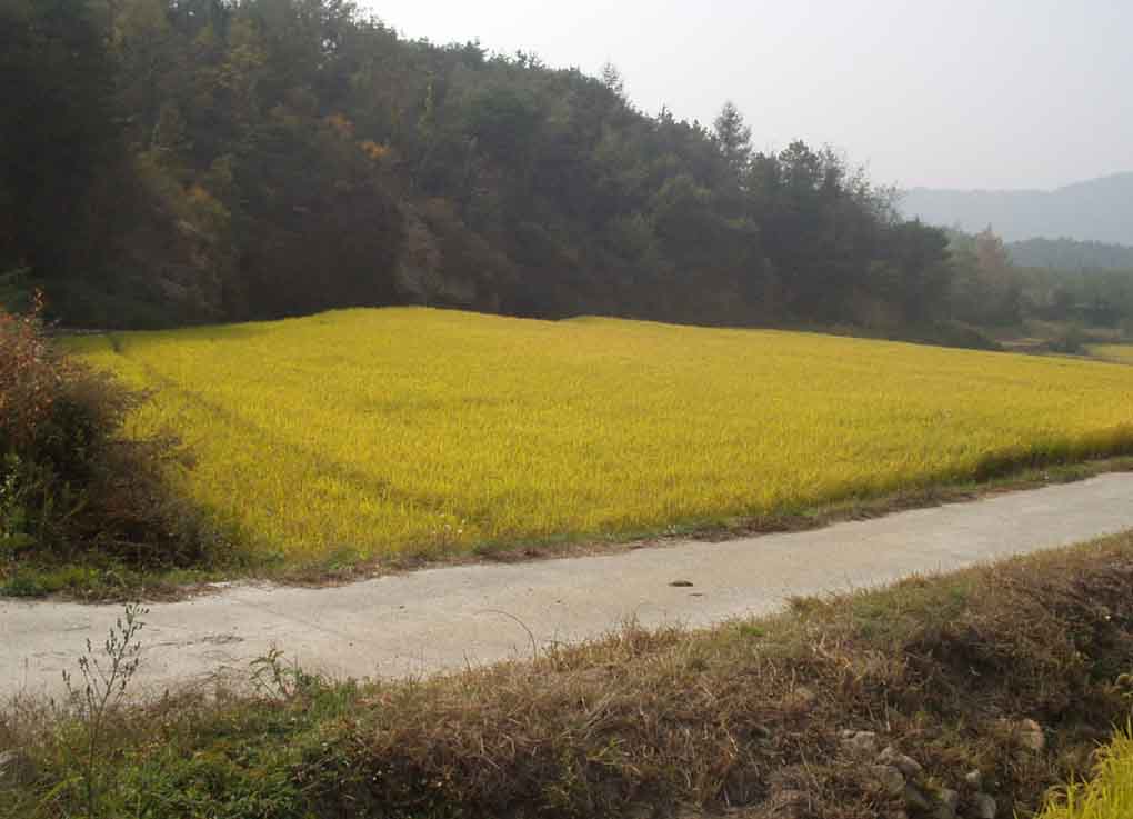 거창지원 2006타경5664-1 사진