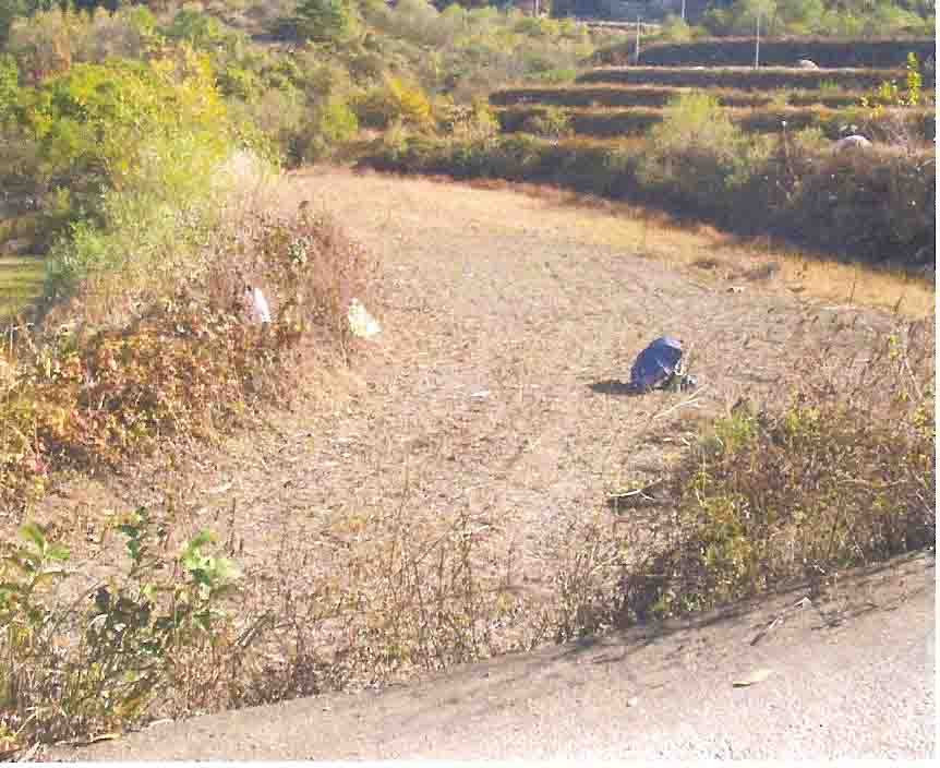 거창지원 2006타경6025-1 사진
