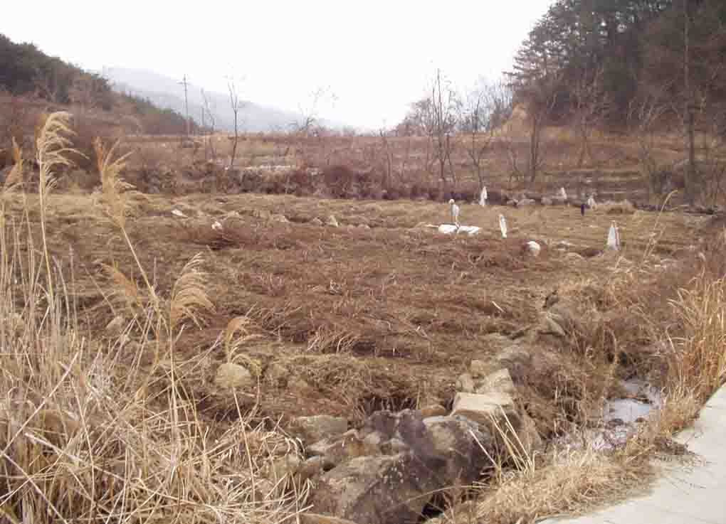 거창지원 2006타경7325-3 사진