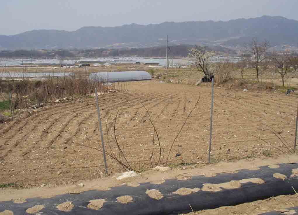 거창지원 2007타경1751-1 사진