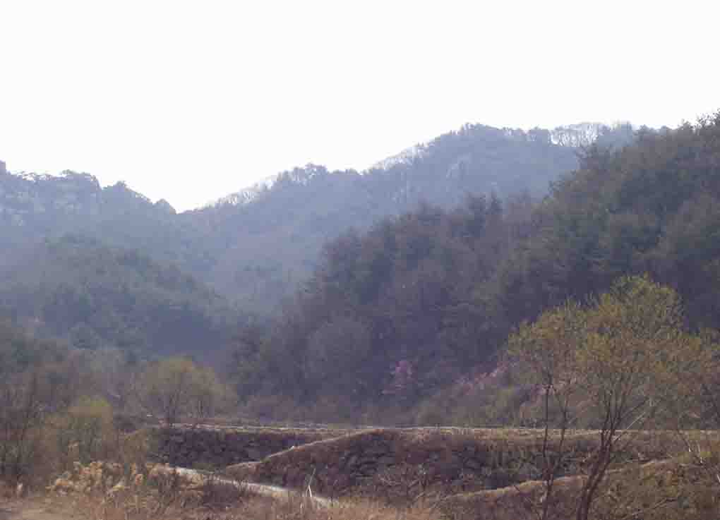 거창지원 2007타경1775-1 사진
