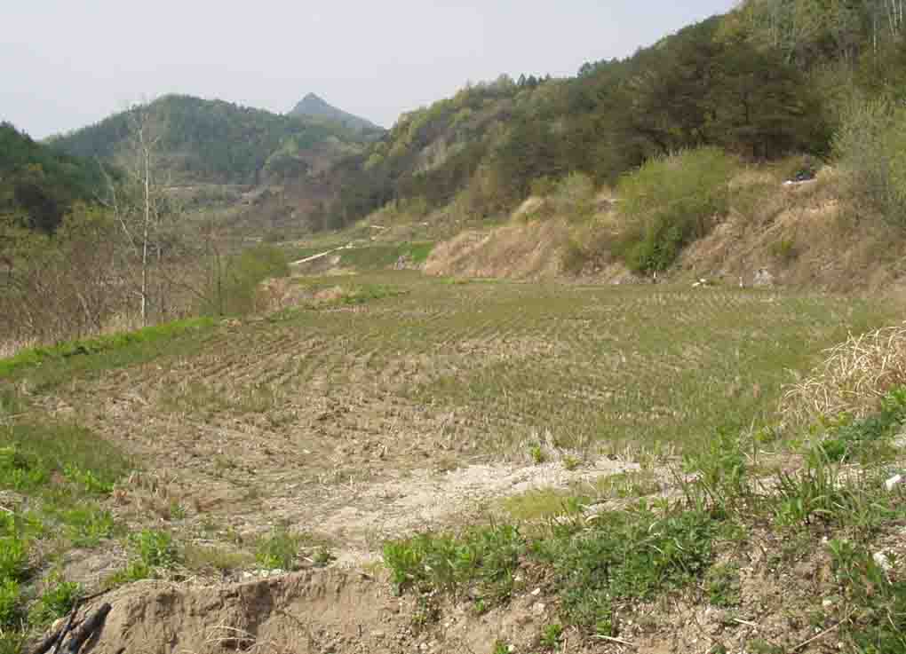 거창지원 2007타경2440-1 사진