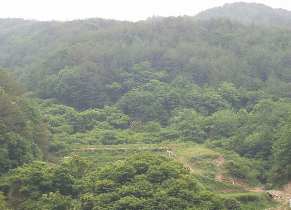 거창지원 2007타경2945-1 사진