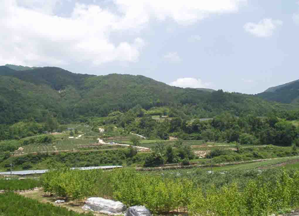 거창지원 2007타경3290-1 사진