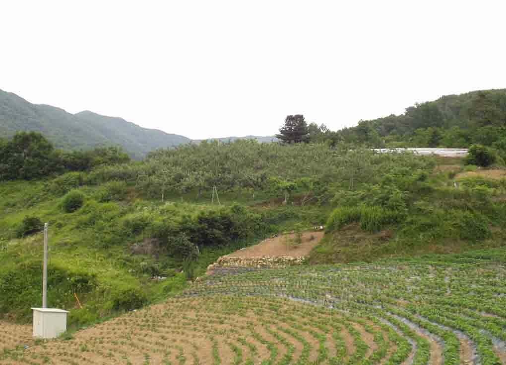 거창지원 2007타경3382-1 사진