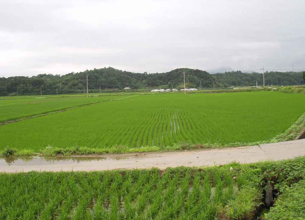 거창지원 2007타경4002-1 사진