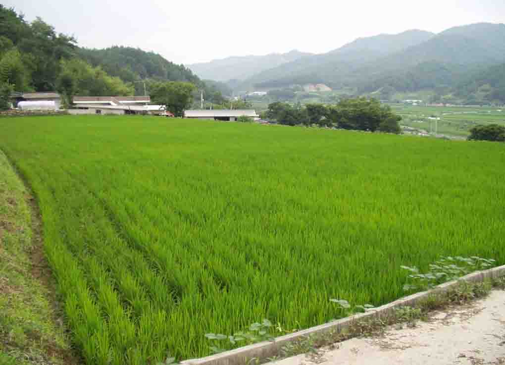 거창지원 2007타경4309-2 사진