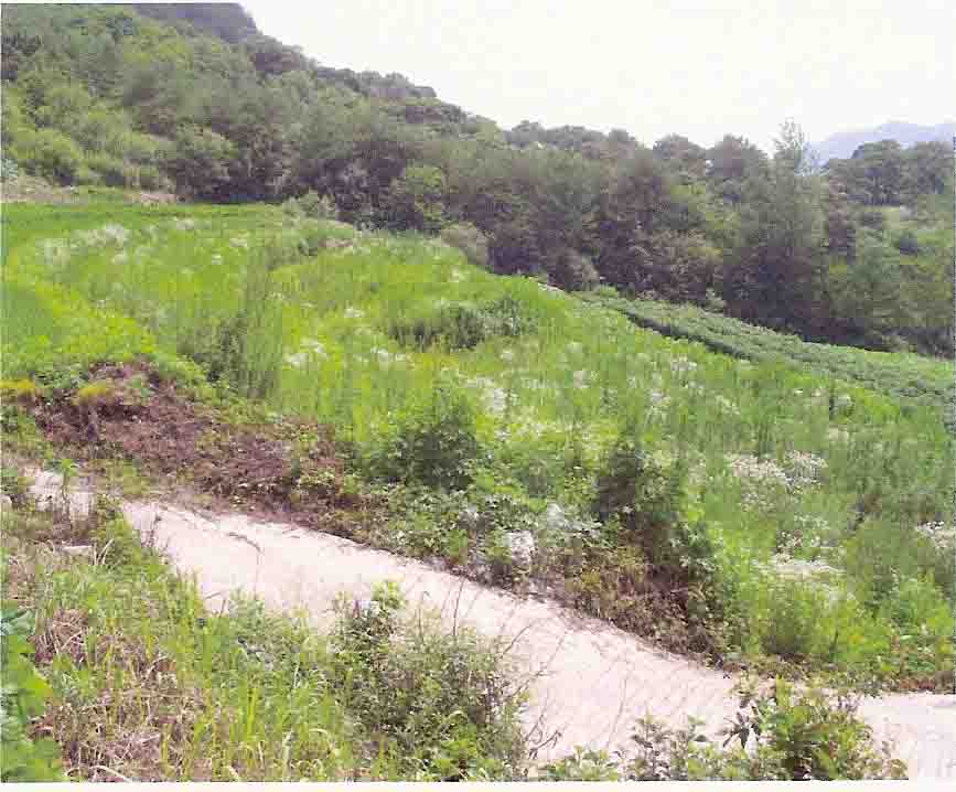 거창지원 2007타경4392-2 사진