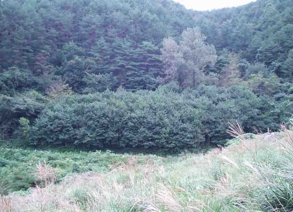 거창지원 2007타경4736-2 사진