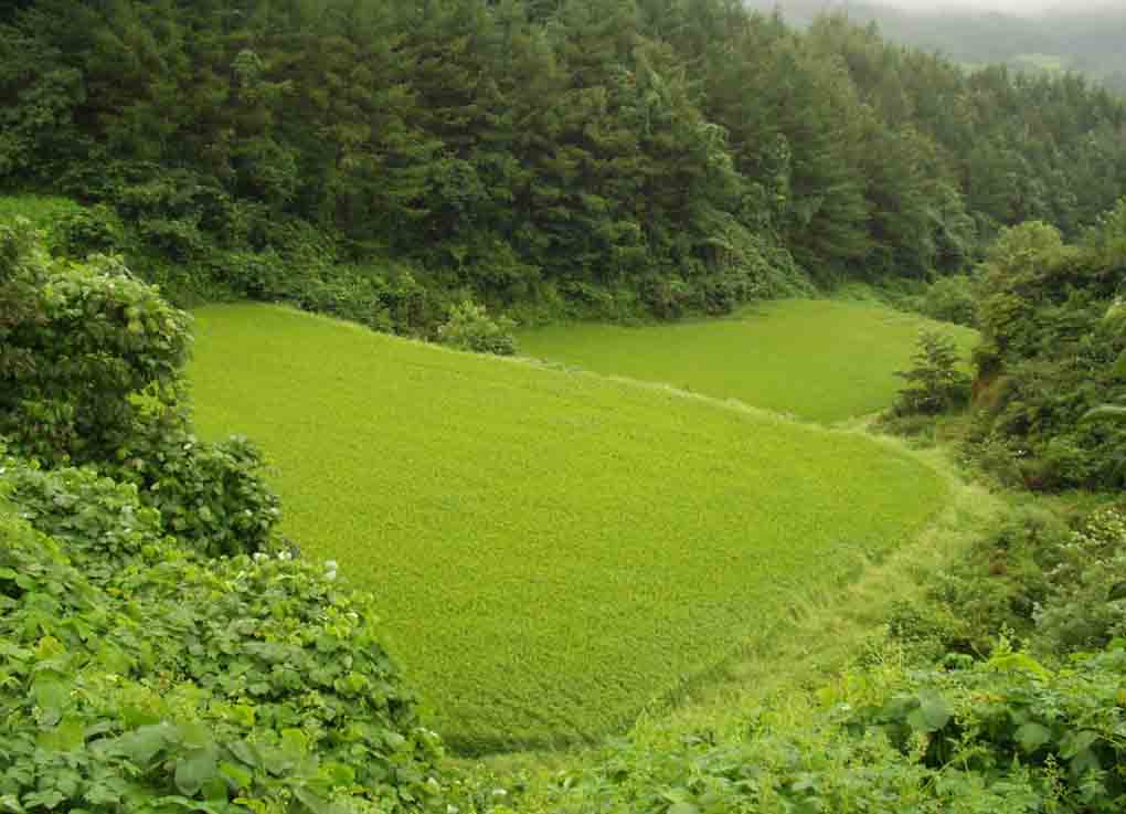 거창지원 2007타경5012-2 사진