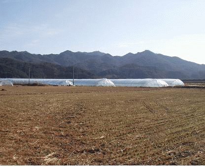 거창지원 2007타경6985-1 사진