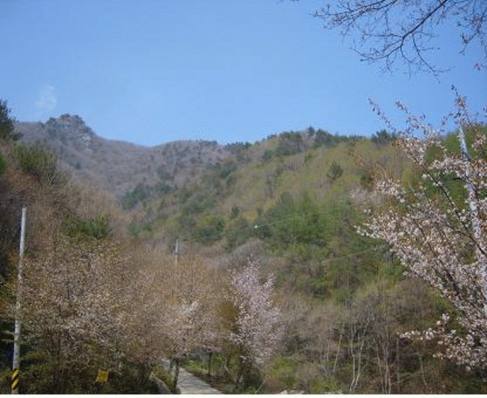 거창지원 2008타경1888-1 사진