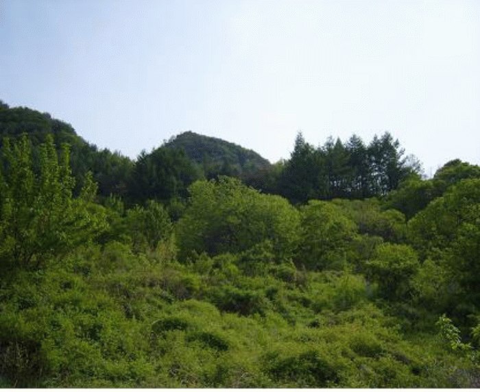 거창지원 2008타경2270-1 사진