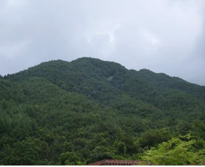 거창지원 2008타경3686-1 사진