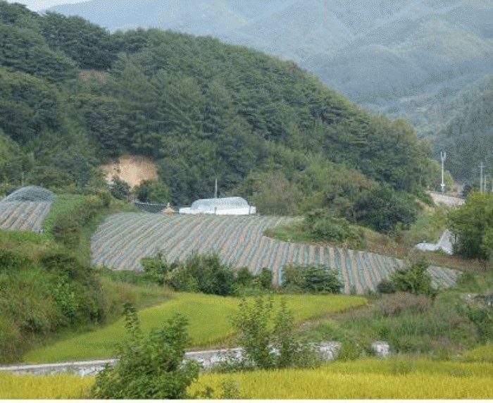 거창지원 2008타경4351-1 사진