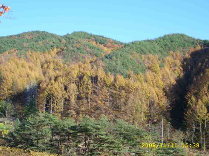 거창지원 2008타경5484-1 사진