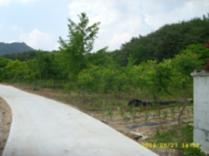 거창지원 2009타경2291-1 사진