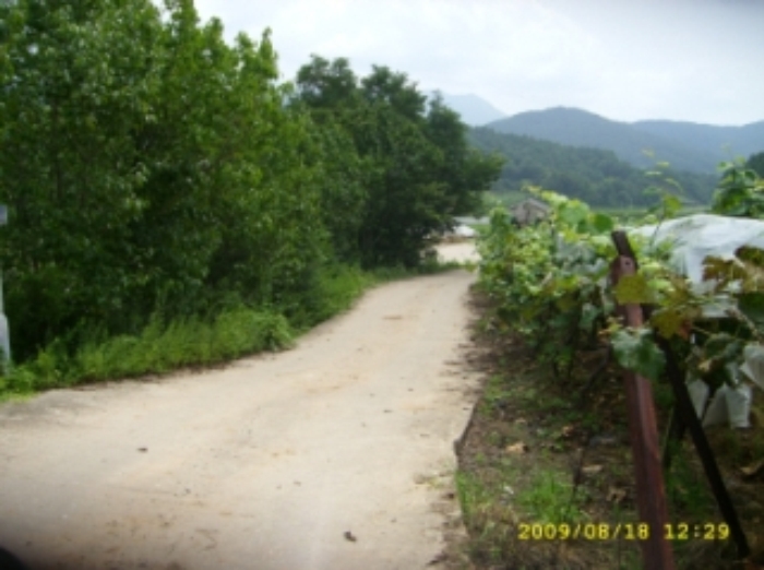 거창지원 2009타경3836-1 사진