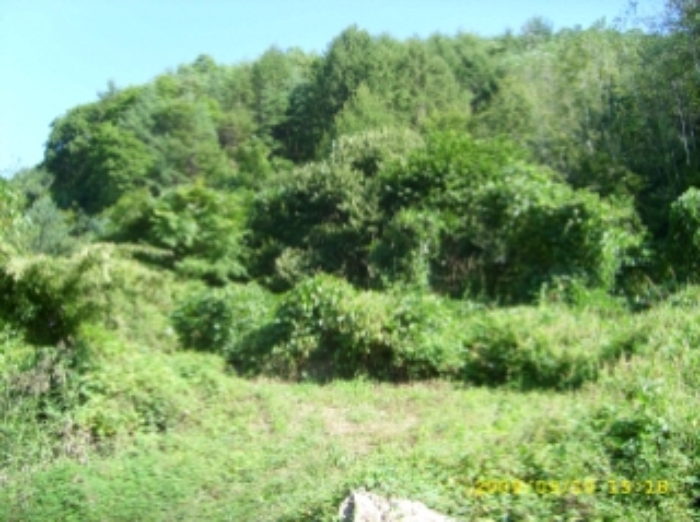 거창지원 2009타경4006-3 사진