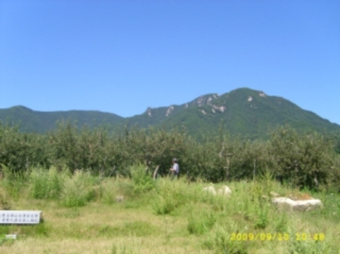거창지원 2009타경4211-1 사진