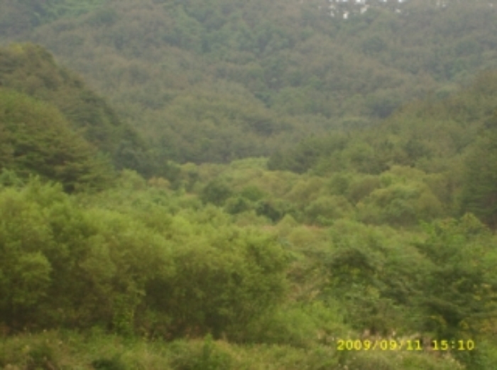 거창지원 2009타경4280-2 사진