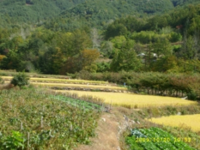 거창지원 2009타경4662-1 사진