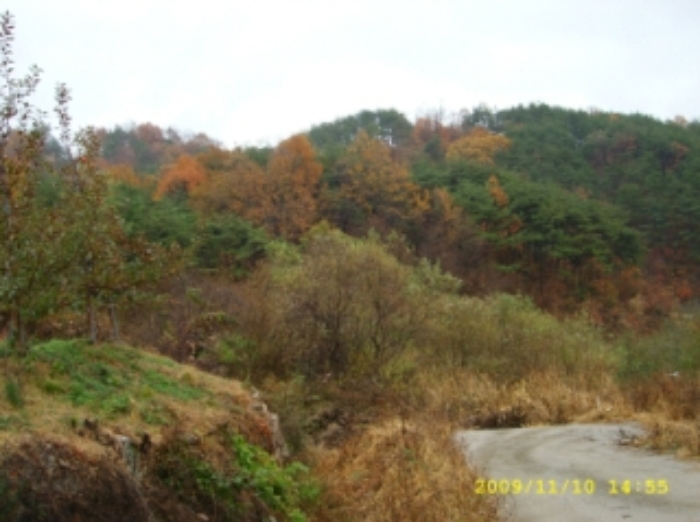 거창지원 2009타경4884-1 사진