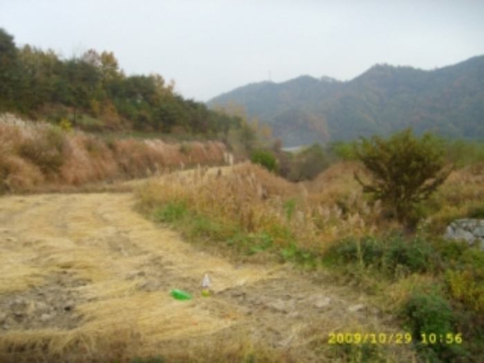 거창지원 2009타경5009-3 사진