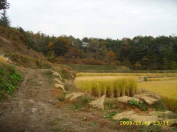 거창지원 2009타경5023-1 사진