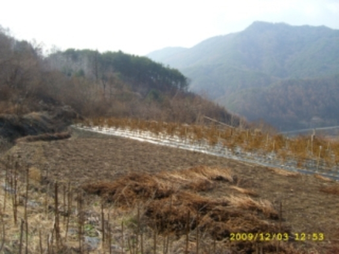 거창지원 2009타경5207-1 사진