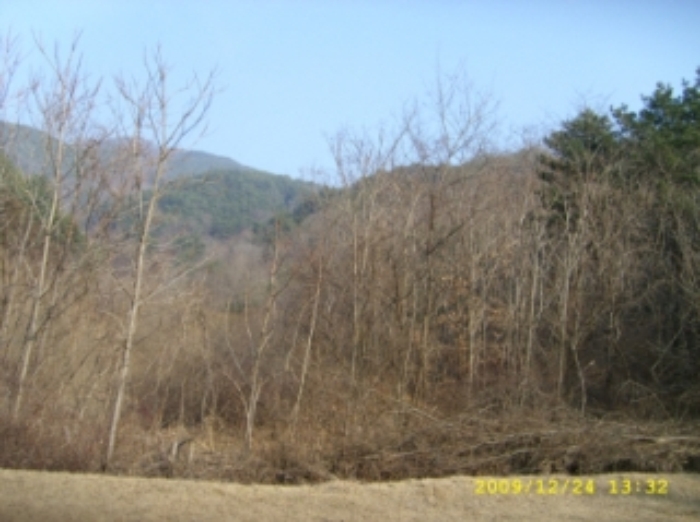거창지원 2009타경5740-3 사진