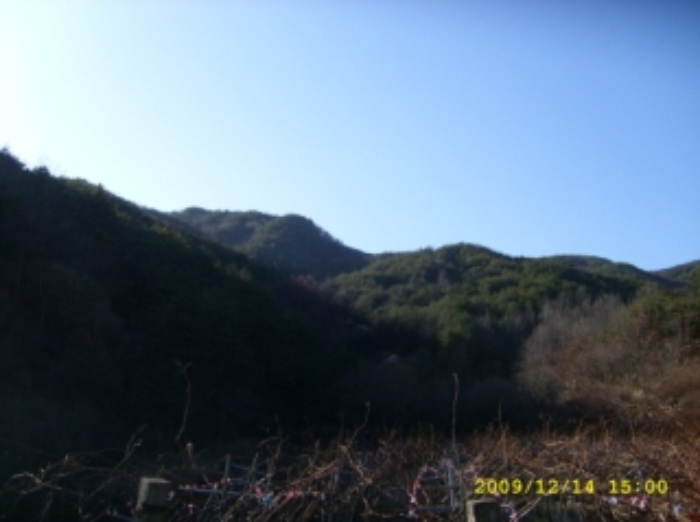 거창지원 2009타경5795-1 사진