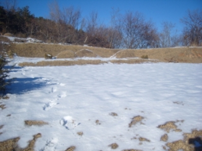 거창지원 2012타경6231-3 사진