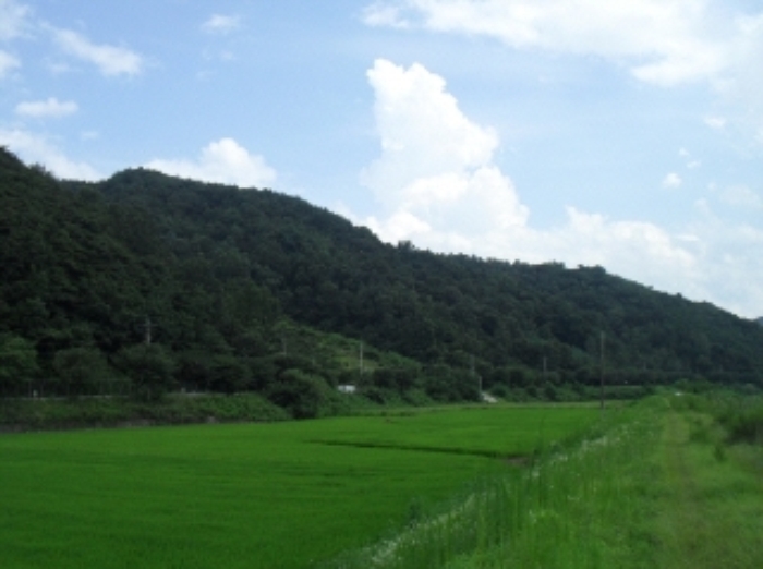 거창지원 2013타경3024-2 사진