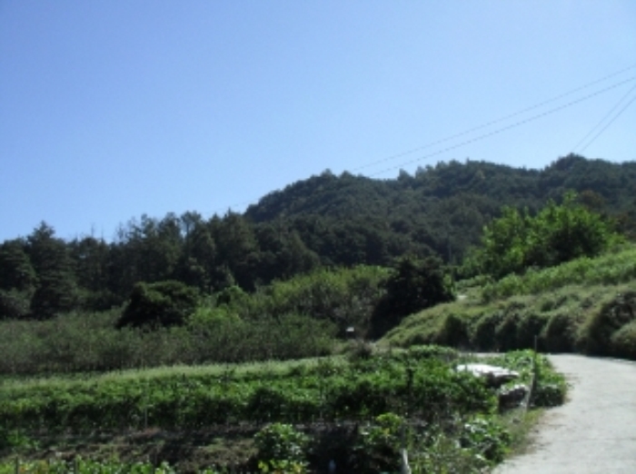 거창지원 2013타경3703-4 사진