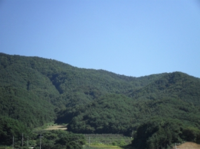 거창지원 2013타경3857-1 사진