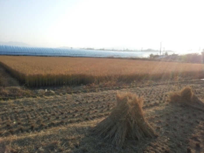 거창지원 2013타경4195-2 사진