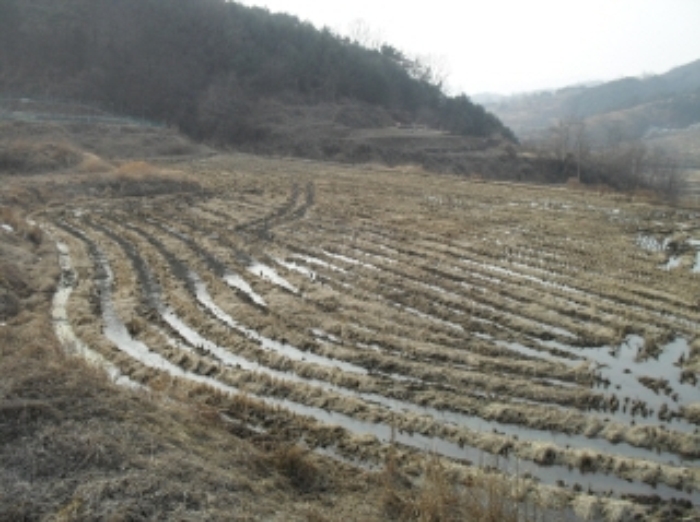 거창지원 2014타경497-1 사진