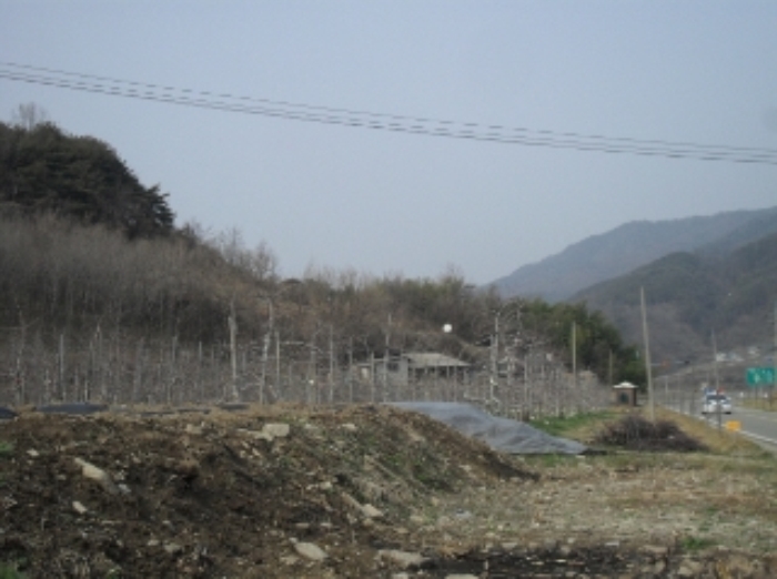 거창지원 2014타경947-2 사진